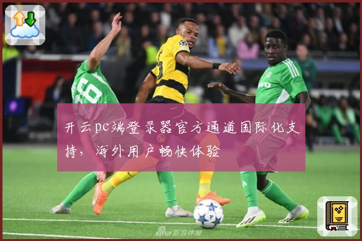 开云pc端登录器官方通道国际化支持，海外用户畅快体验
